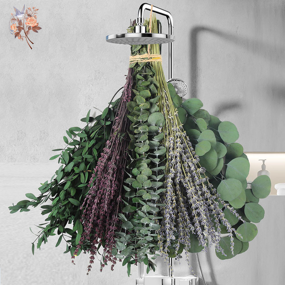 110Pcs Mix Dried Eucalyptus Le - Home Fragrance Fillers review and price