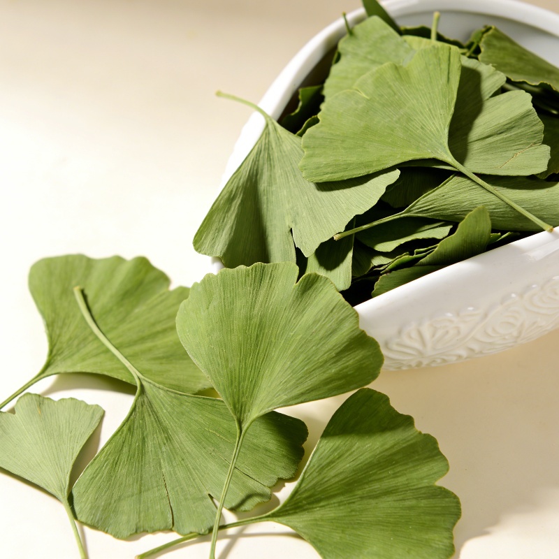 Quality Ginkgo Biloba Dried Le - Home Fragrance Candles review and price