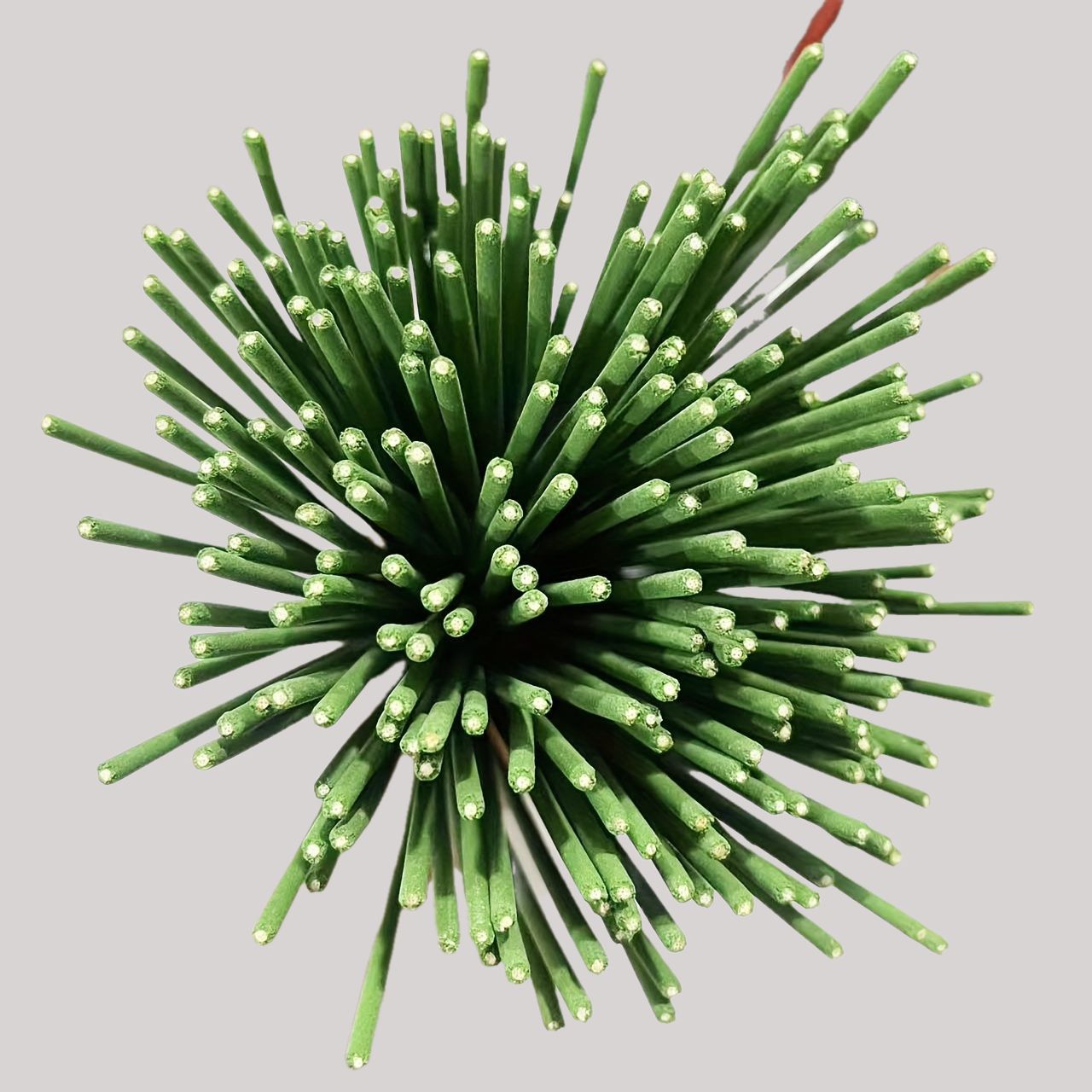 Reed Diffuser Sticks Lemongras - Home Fragrance Lemongrass review and price